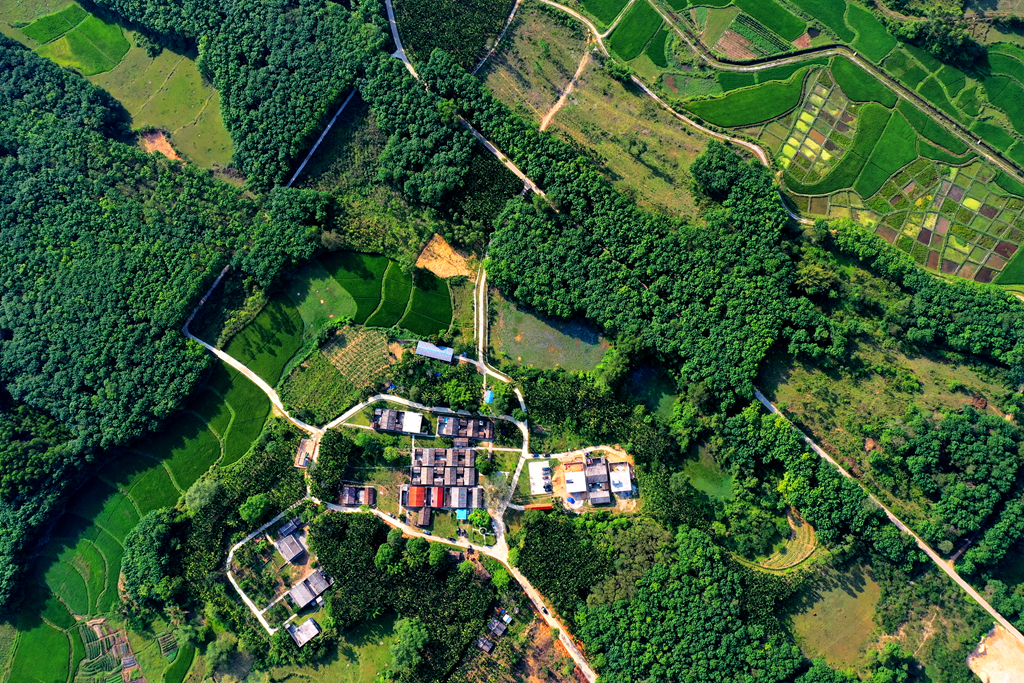 122cc太阳集成游戏(中国)有限公司官网