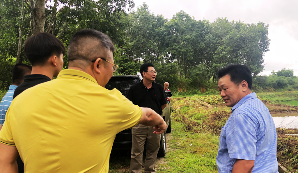 122cc太阳集成游戏(中国)有限公司官网