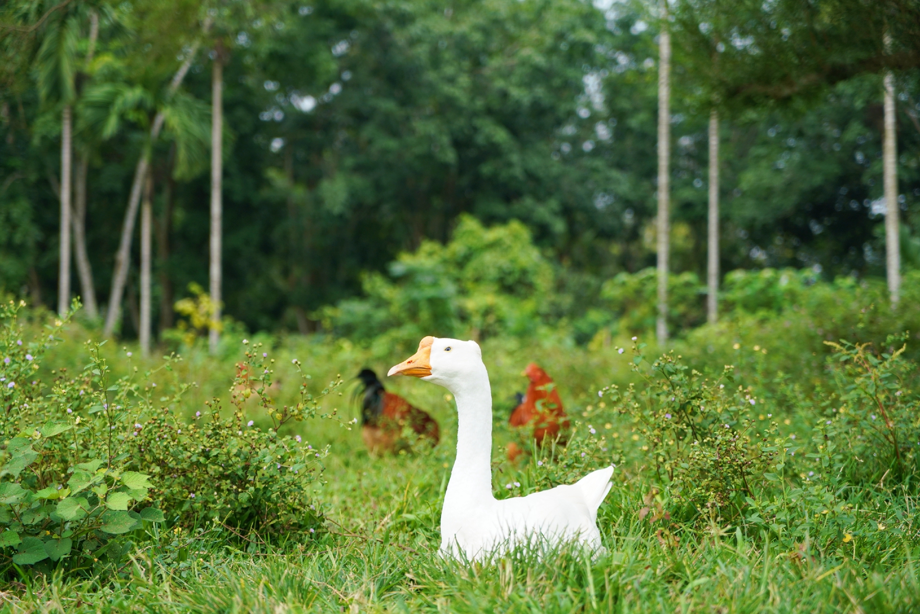 122cc太阳集成游戏(中国)有限公司官网