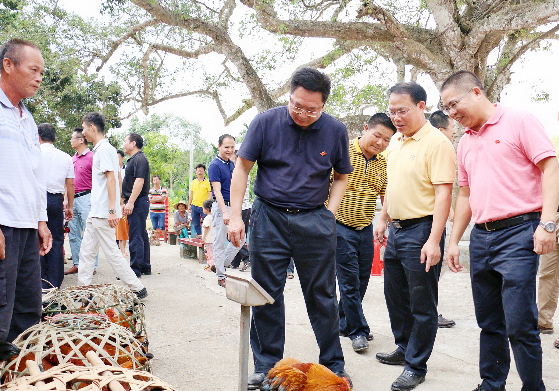 122cc太阳集成游戏(中国)有限公司官网