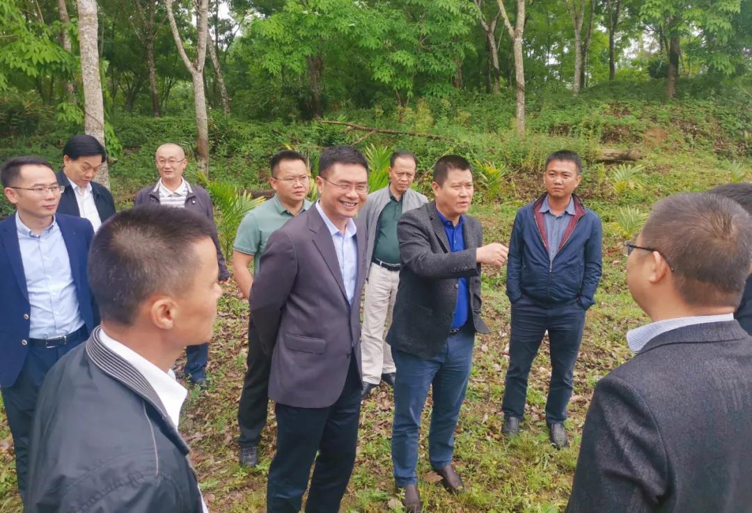 122cc太阳集成游戏(中国)有限公司官网